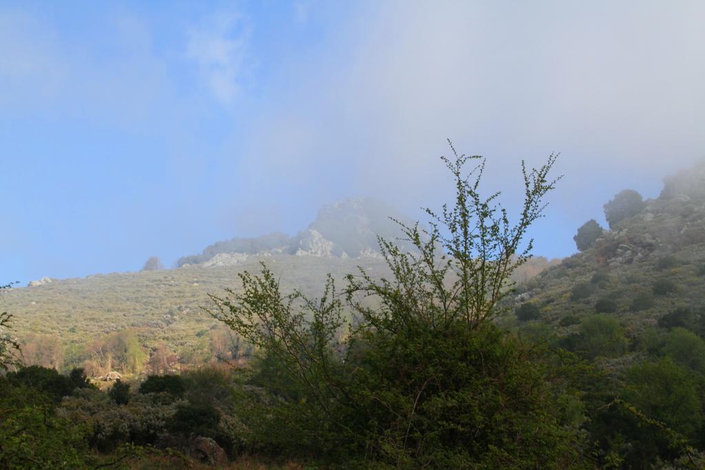 Kallista 2 San-Giuliano Pokoj fotografie