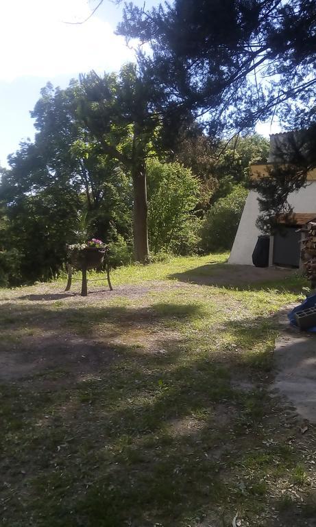 Kallista 2 San-Giuliano Pokoj fotografie